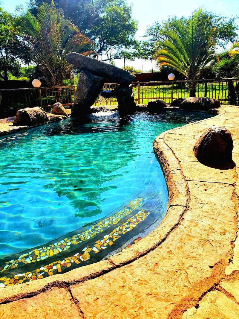 Howick S Overnight Accommodation Polokwane Pietersburg Limpopo Province South Africa Complementary Colors, Palm Tree, Plant, Nature, Wood, Reptile, Animal, Garden, Swimming Pool
