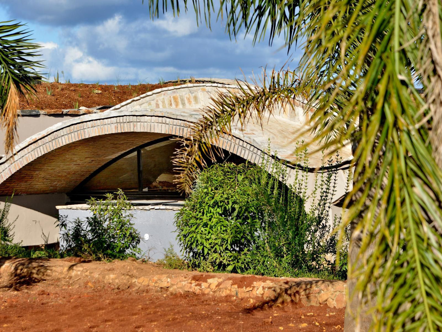 Angel S View Graskop Mpumalanga South Africa Palm Tree, Plant, Nature, Wood