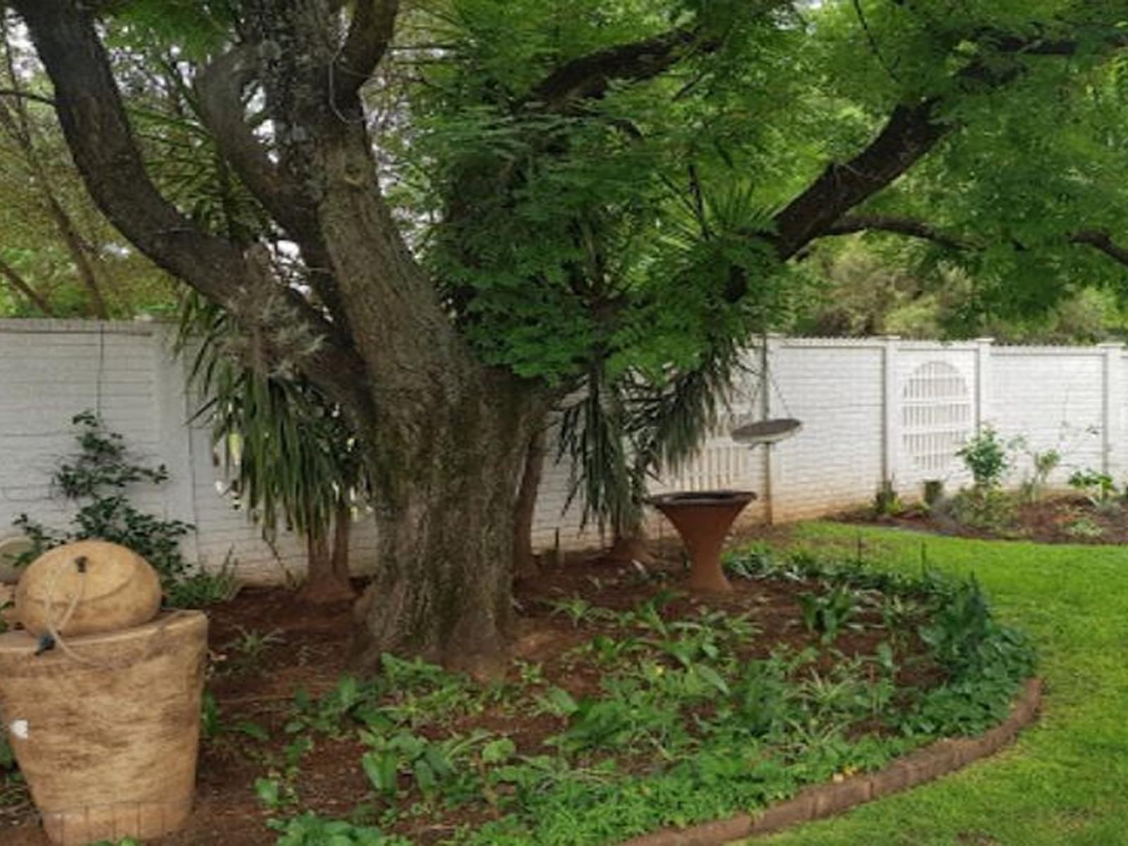 Huis Afrika Vanderbijlpark Se 6 Vanderbijlpark Gauteng South Africa Plant, Nature, Tree, Wood, Garden