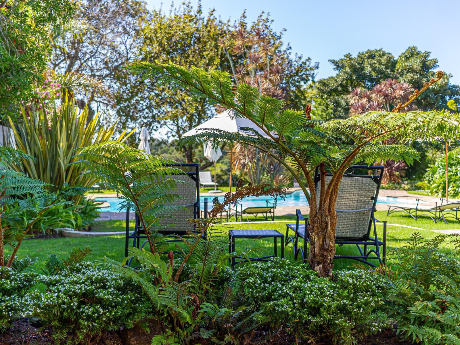 Hunter'S Country House, Palm Tree, Plant, Nature, Wood, Garden