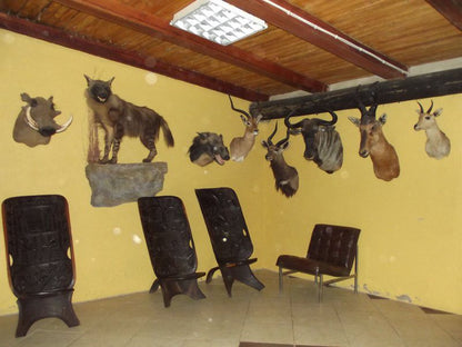 Hunters Dream Entertainment Centre Middelburg Mpumalanga Mpumalanga South Africa Bat, Mammal, Animal