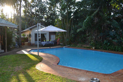 Hunters Bandb Mtunzini Kwazulu Natal South Africa Palm Tree, Plant, Nature, Wood, Swimming Pool