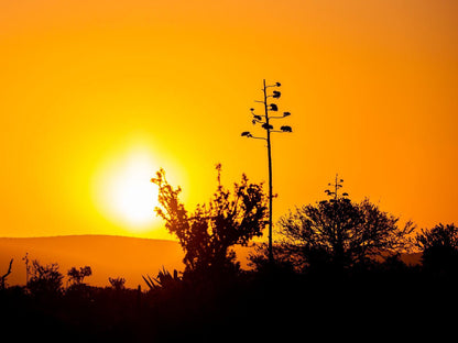 Huntshoek Lodge Grahamstown Eastern Cape South Africa Colorful, Sky, Nature, Sunset