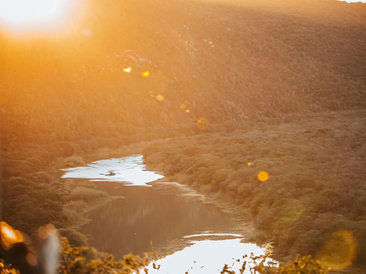 Huntshoek Lodge Grahamstown Eastern Cape South Africa Colorful, Nature