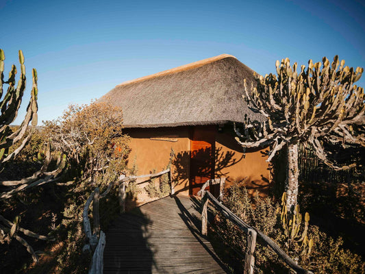 Wildebeest Chalet @ Huntshoek Lodge