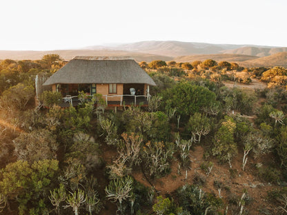 Wildebeest Chalet @ Huntshoek Lodge