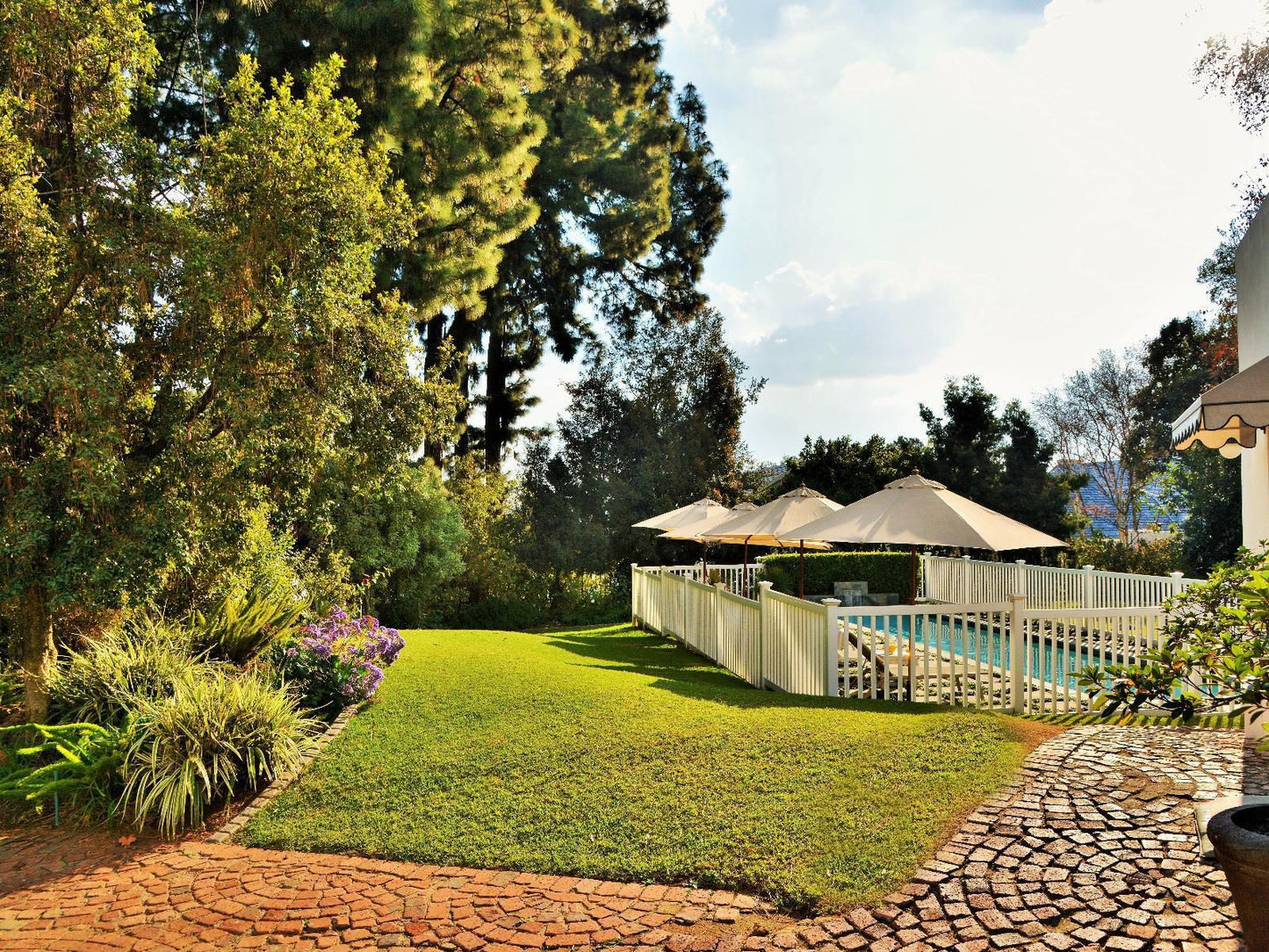 Hyde Park Guest House Hyde Park Johannesburg Gauteng South Africa Garden, Nature, Plant