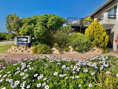 I Lollo Lodge River Front Accomodation St Francis Bay Eastern Cape South Africa Complementary Colors, Blossom, Plant, Nature, House, Building, Architecture, Garden