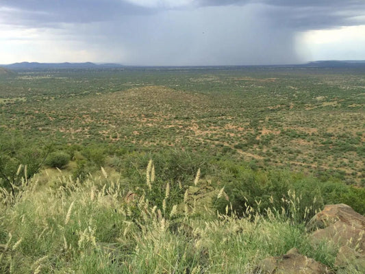 Ibenstein Safaris, Cactus, Plant, Nature