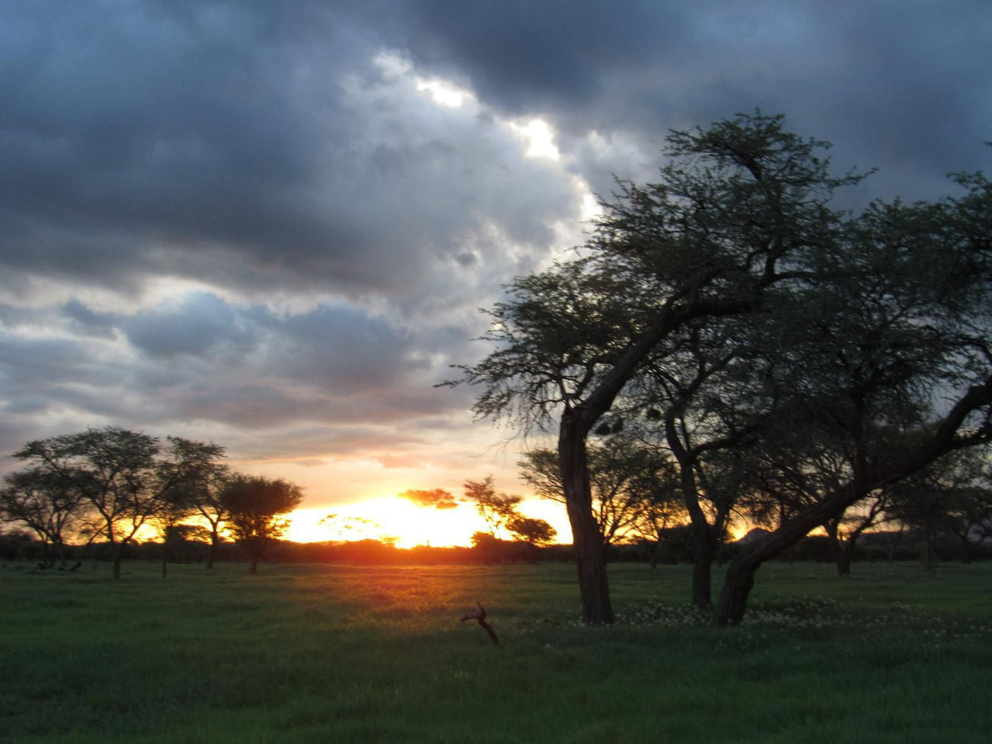 Ibenstein Safaris, Sky, Nature, Lowland, Sunset