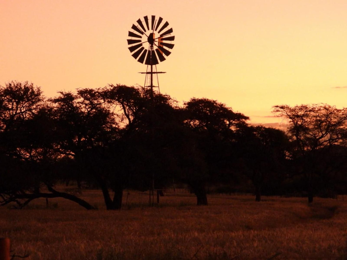 Ibenstein Safaris, Colorful, Silhouette, Lowland, Nature