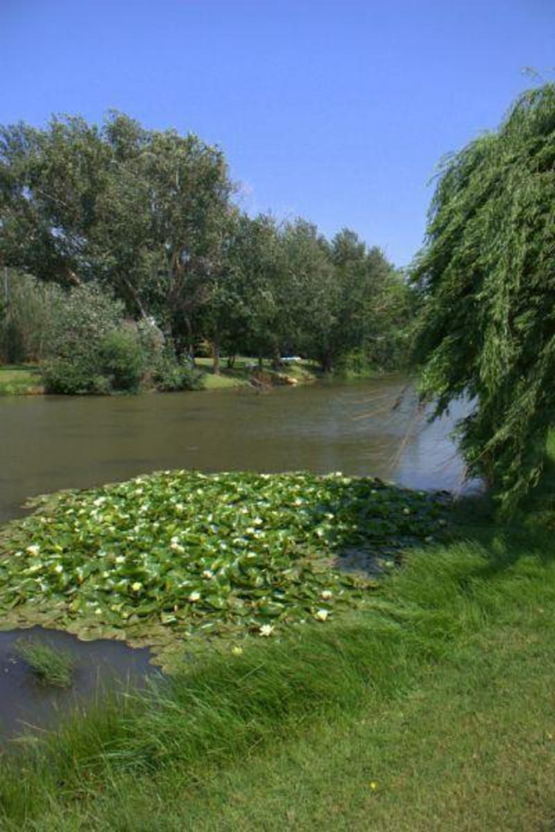 Ibis Nest Guest Lodge Heidelberg Gauteng South Africa Complementary Colors, River, Nature, Waters, Tree, Plant, Wood, Garden