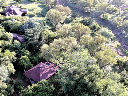 Idube Game Reserve, Plant, Nature, Tree, Wood