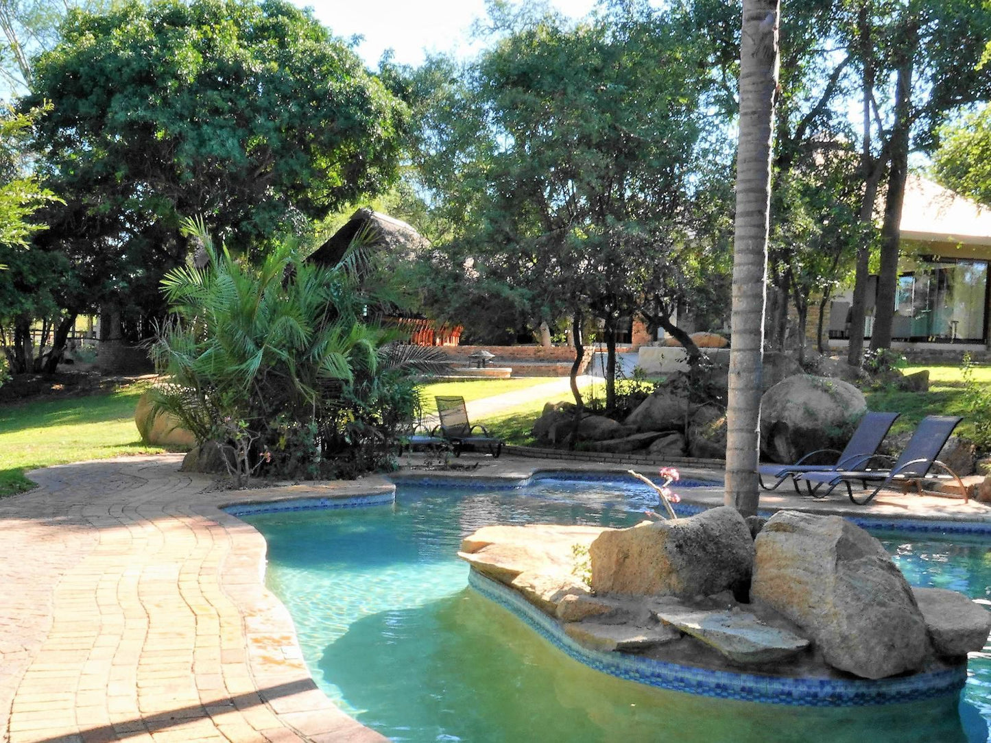 Idube Game Reserve, Palm Tree, Plant, Nature, Wood, Garden, Swimming Pool