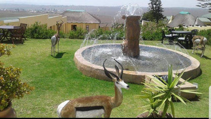 Deer, Mammal, Animal, Herbivore, Garden, Nature, Plant, Swimming Pool, Idwala Lam Guest House, Mthatha, Mthatha