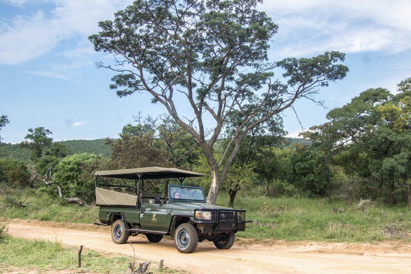 Idwala View Mabalingwe Nature Reserve Bela Bela Warmbaths Limpopo Province South Africa Complementary Colors, Forest, Nature, Plant, Tree, Wood, Vehicle