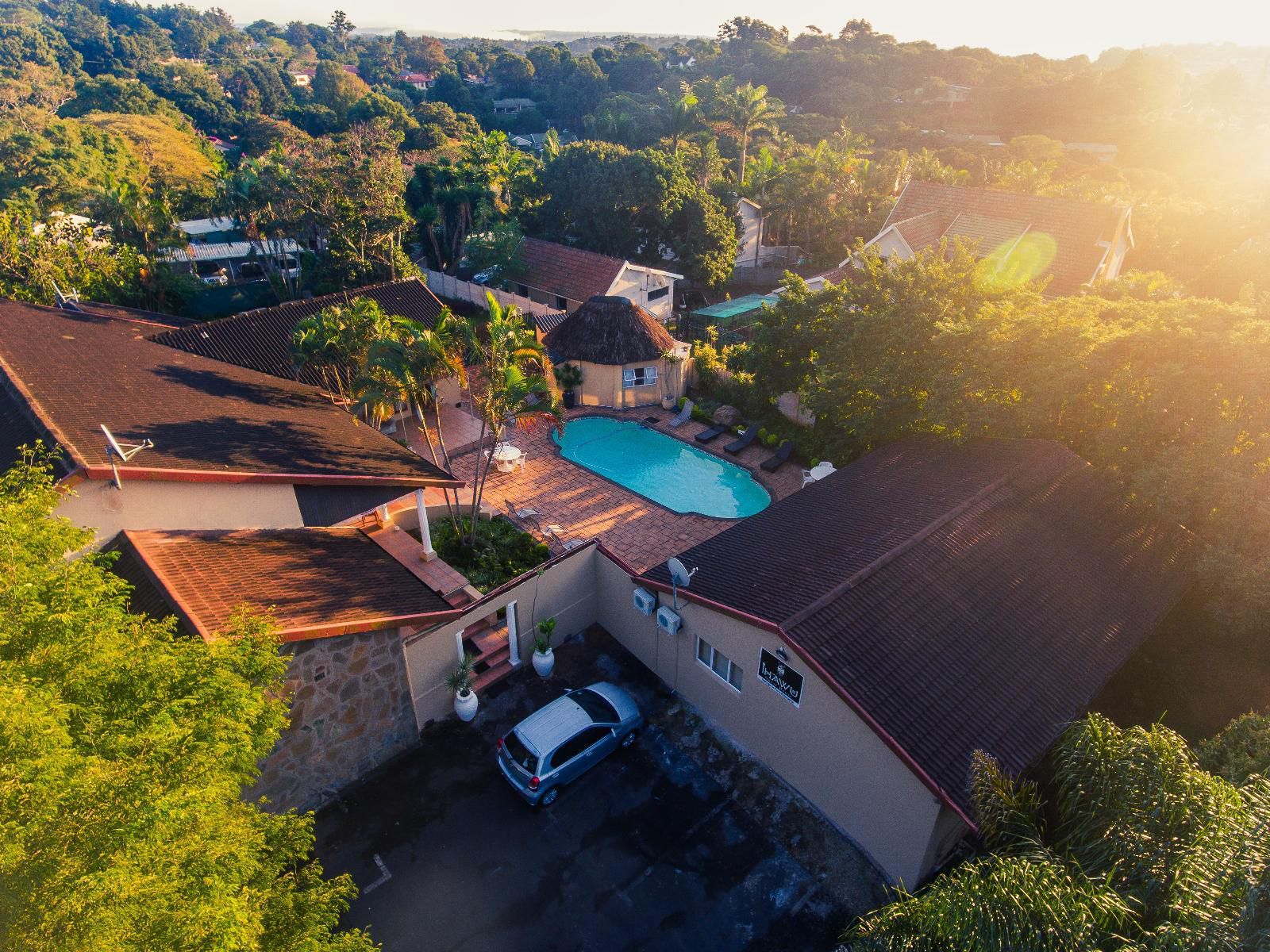 Ihawu Guest House Westville Durban Kwazulu Natal South Africa House, Building, Architecture, Palm Tree, Plant, Nature, Wood, Swimming Pool