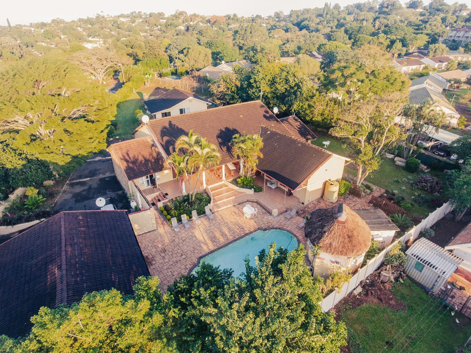 Ihawu Guest House Westville Durban Kwazulu Natal South Africa House, Building, Architecture, Palm Tree, Plant, Nature, Wood