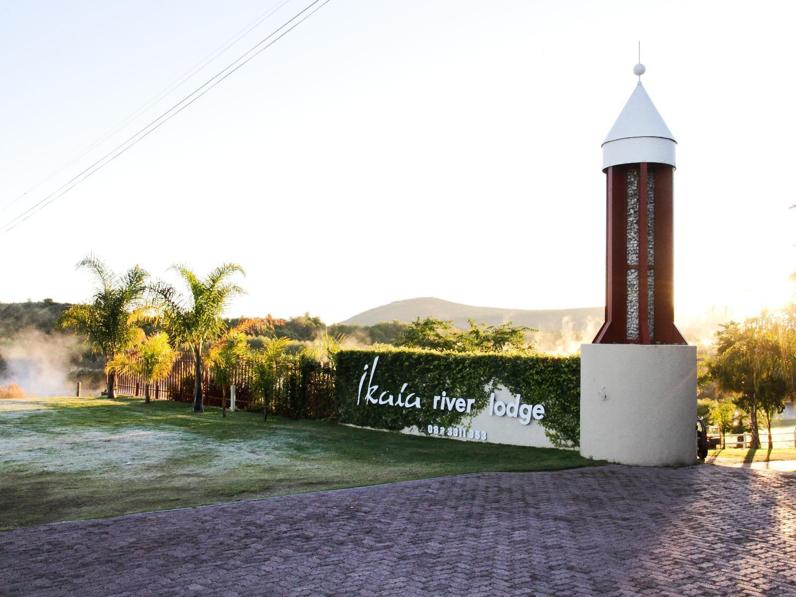 Ikaia River Lodge Keimoes Northern Cape South Africa Palm Tree, Plant, Nature, Wood