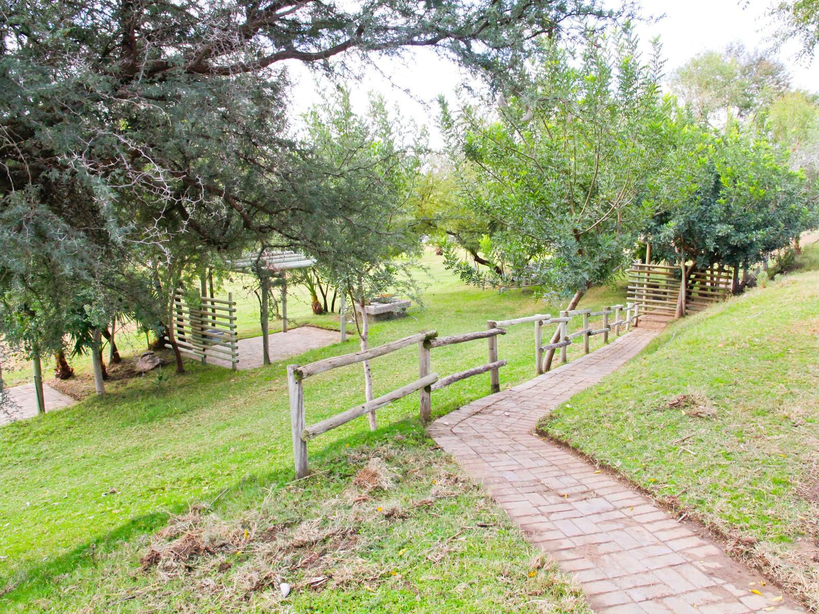 Ikaia River Lodge Keimoes Northern Cape South Africa Garden, Nature, Plant