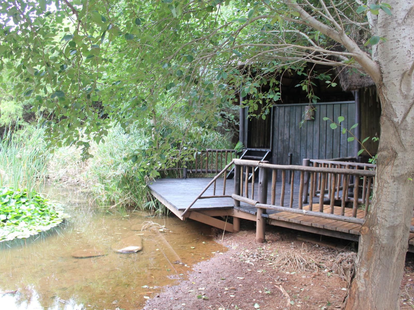 Ikamu S Lodge Verwoerd Park Johannesburg Gauteng South Africa River, Nature, Waters, Tree, Plant, Wood