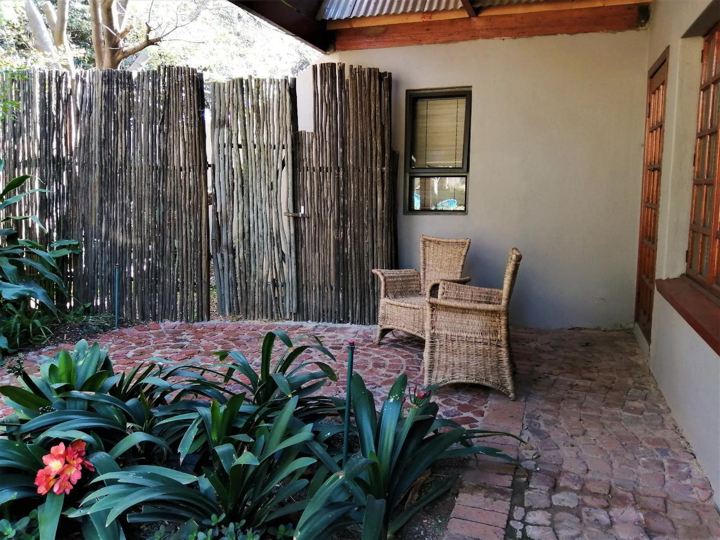 Ikamu S Lodge Verwoerd Park Johannesburg Gauteng South Africa Plant, Nature, Garden