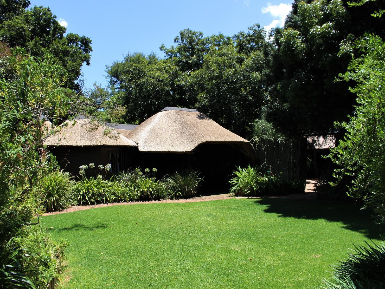 Ikamu S Lodge Verwoerd Park Johannesburg Gauteng South Africa Garden, Nature, Plant