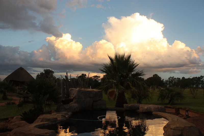 Ikhamanzi Bed And Breakfast Mooilande Vereeniging Gauteng South Africa Palm Tree, Plant, Nature, Wood, Sky, Clouds, Swimming Pool