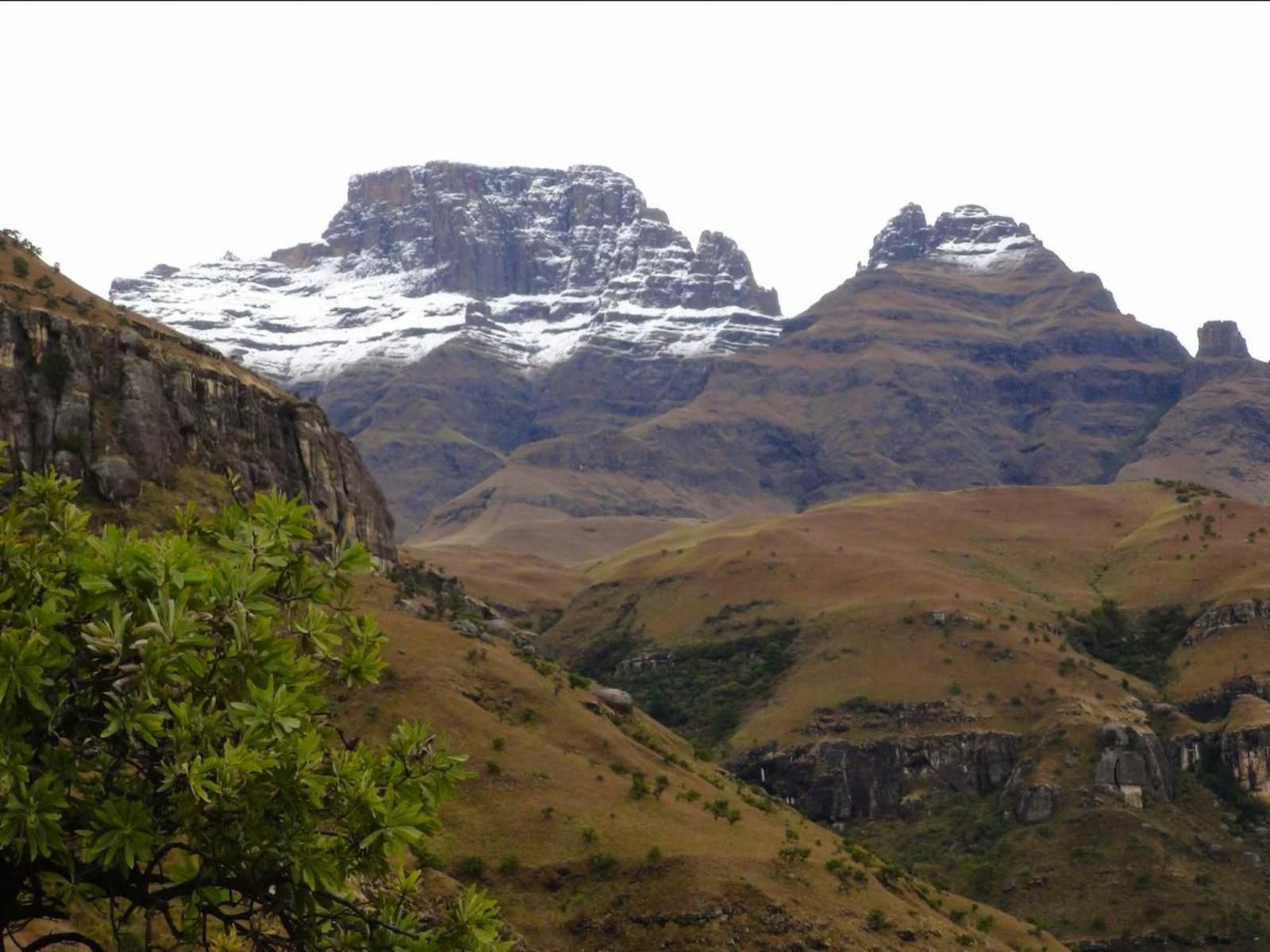 Ikhayalamafu Mountain Reserve Champagne Valley Kwazulu Natal South Africa Mountain, Nature, Highland