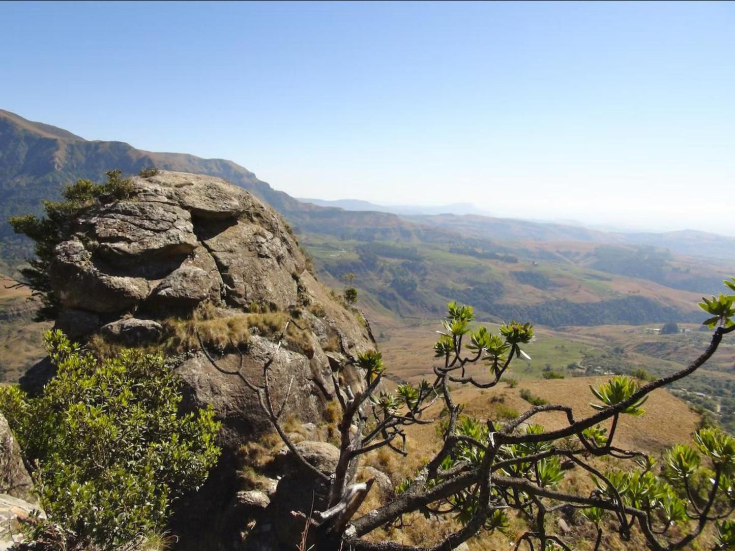 Ikhayalamafu Mountain Reserve Champagne Valley Kwazulu Natal South Africa Complementary Colors, Nature