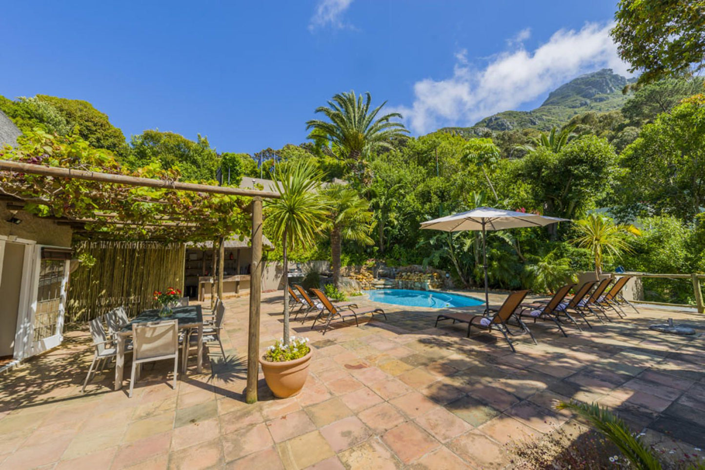 Ikhaya Safari Lodge Constantia Cape Town Western Cape South Africa Complementary Colors, Palm Tree, Plant, Nature, Wood, Swimming Pool