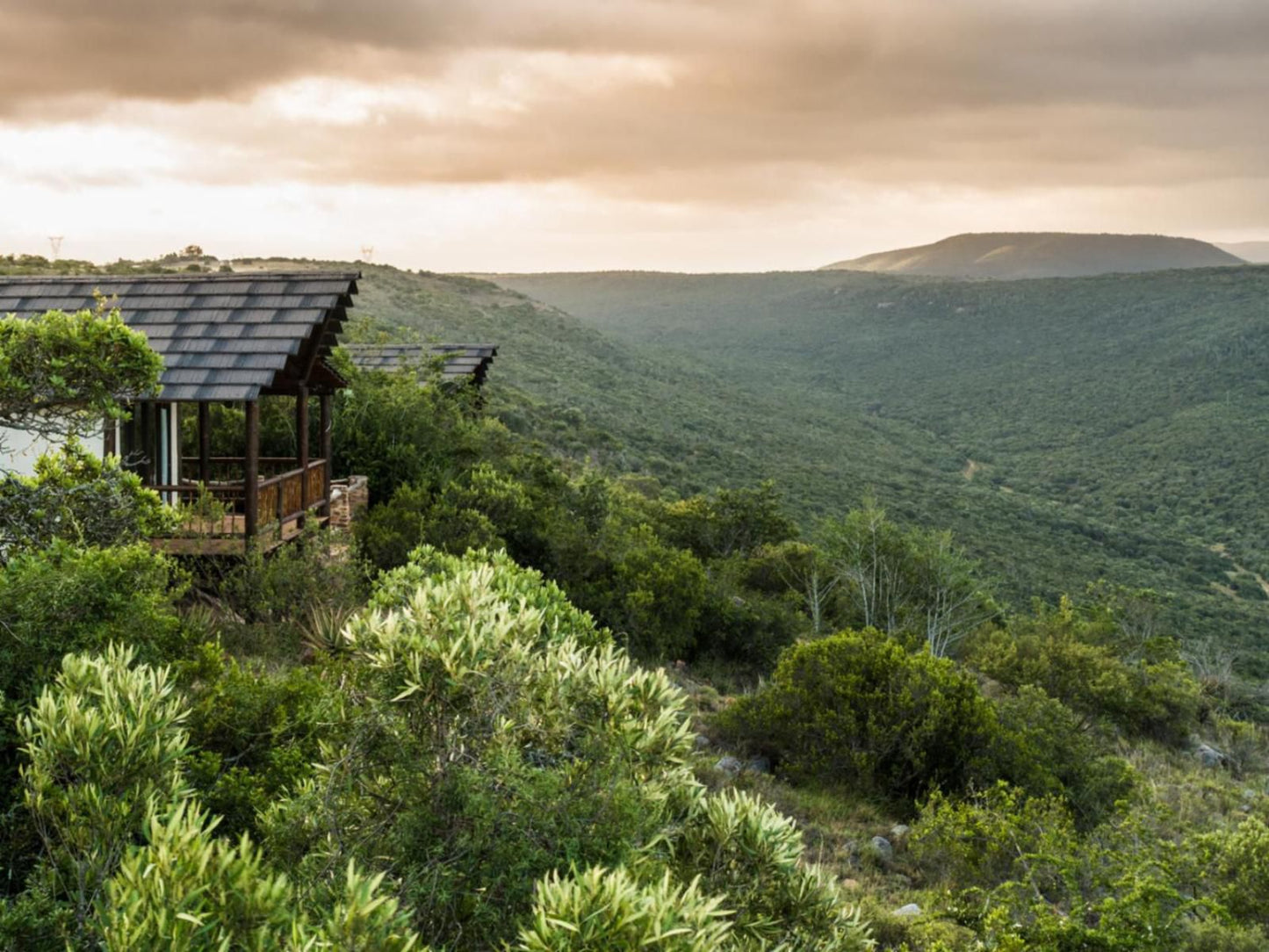 Ikwanitsha Lodge Paterson Eastern Cape South Africa 