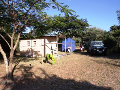 Ilala Palm Park Mbazwana Kwazulu Natal South Africa Complementary Colors, Building, Architecture, Palm Tree, Plant, Nature, Wood, Tent