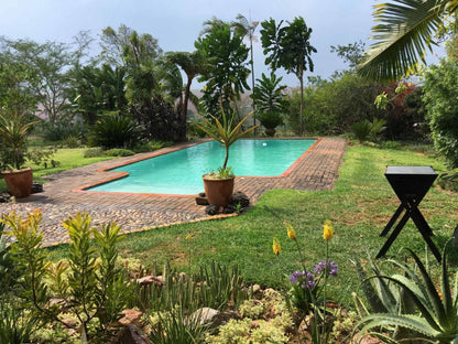 Ilanda Guest House, Palm Tree, Plant, Nature, Wood, Garden, Swimming Pool