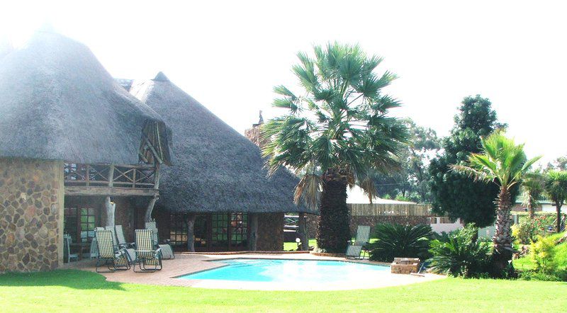 Ilanga Country Guesthouse Sesfontein Benoni Johannesburg Gauteng South Africa Palm Tree, Plant, Nature, Wood, Swimming Pool