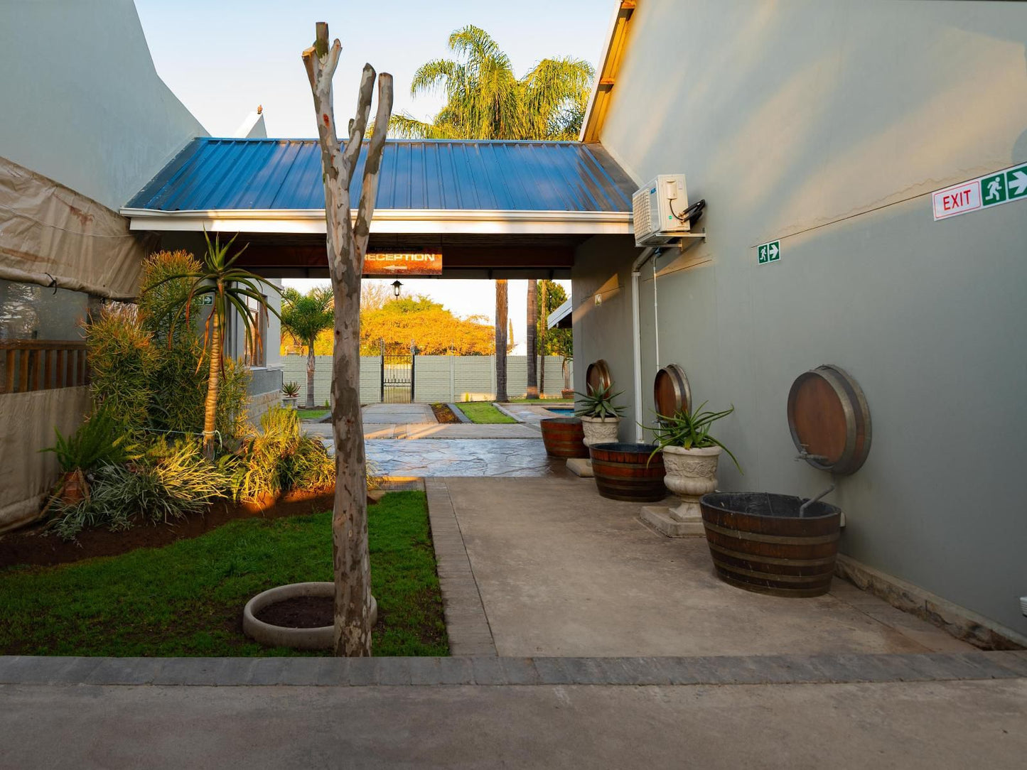 Presidents Boutique Lodge By Ilawu Vryheid Kwazulu Natal South Africa Palm Tree, Plant, Nature, Wood