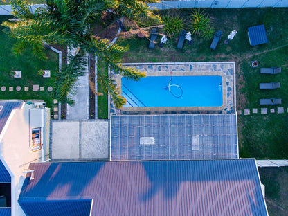 Presidents Boutique Lodge By Ilawu Vryheid Kwazulu Natal South Africa Palm Tree, Plant, Nature, Wood, Swimming Pool