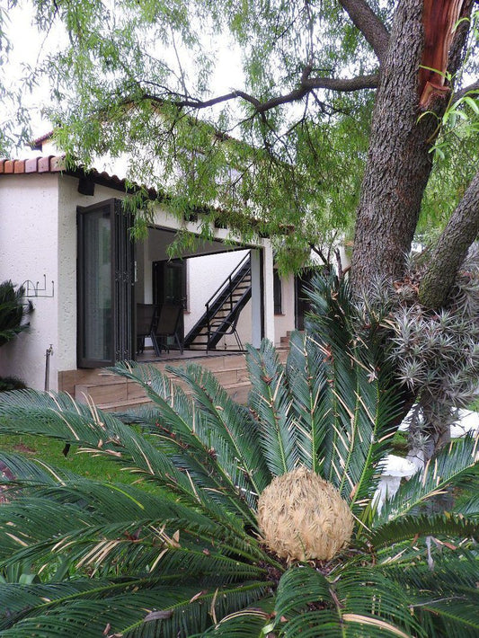 Ile Du Lac Self Catering Hartbeespoort North West Province South Africa House, Building, Architecture, Palm Tree, Plant, Nature, Wood, Garden