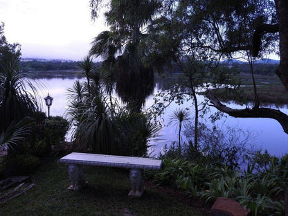 Ile Du Lac Self Catering Hartbeespoort North West Province South Africa Lake, Nature, Waters, Palm Tree, Plant, Wood