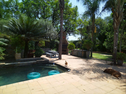 Ilnika Farm Stay, Palm Tree, Plant, Nature, Wood, Garden, Swimming Pool