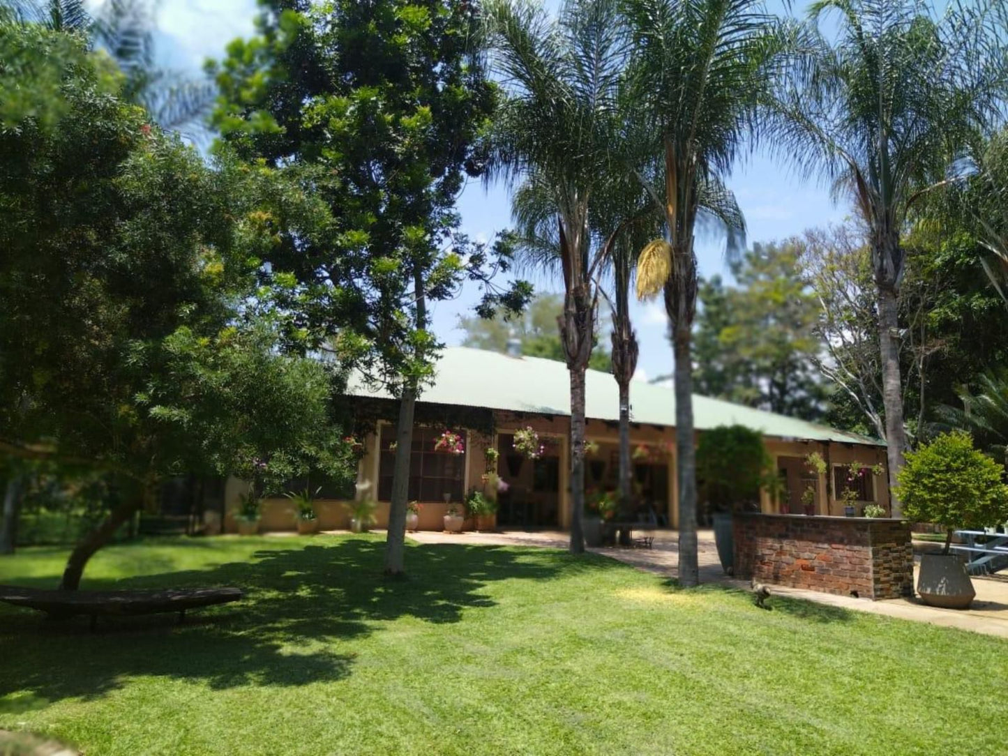 Ilnika Farm Stay, Palm Tree, Plant, Nature, Wood