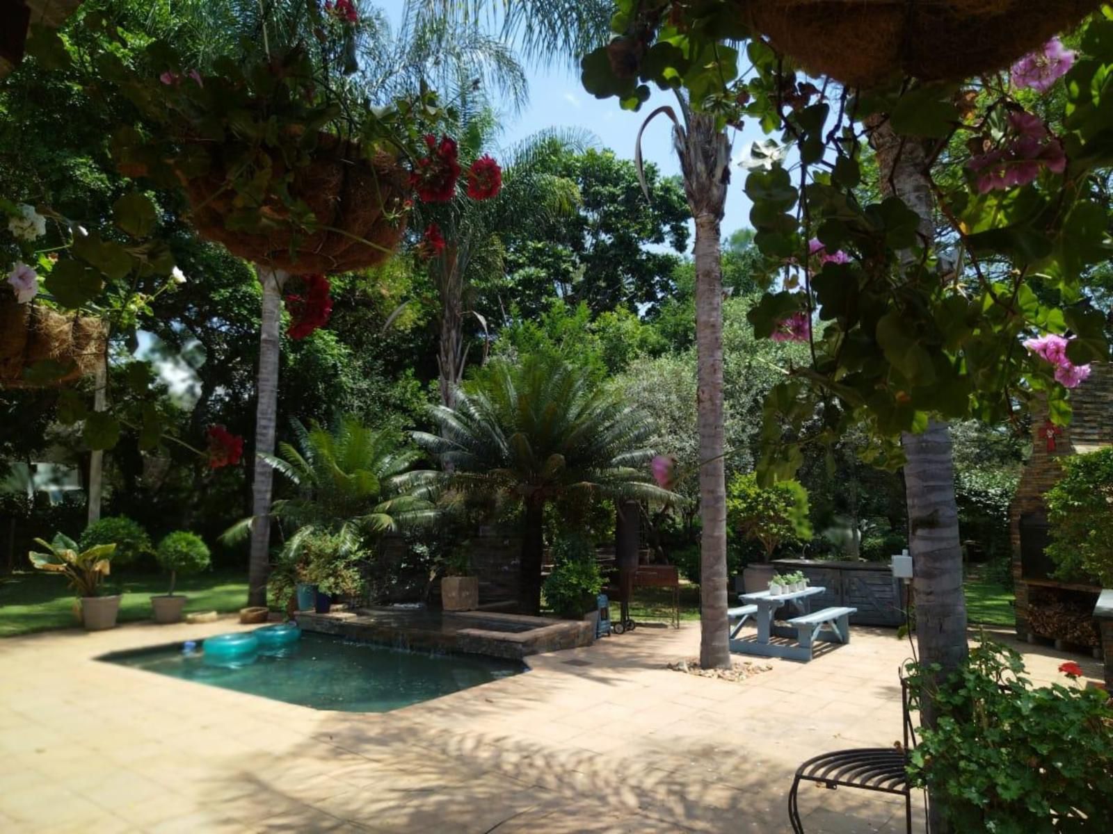 Ilnika Farm Stay, Palm Tree, Plant, Nature, Wood, Garden, Swimming Pool