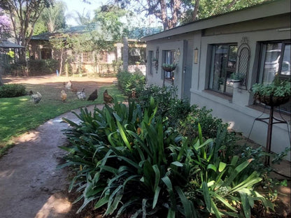 Ilnika Farm Stay, House, Building, Architecture, Palm Tree, Plant, Nature, Wood, Garden