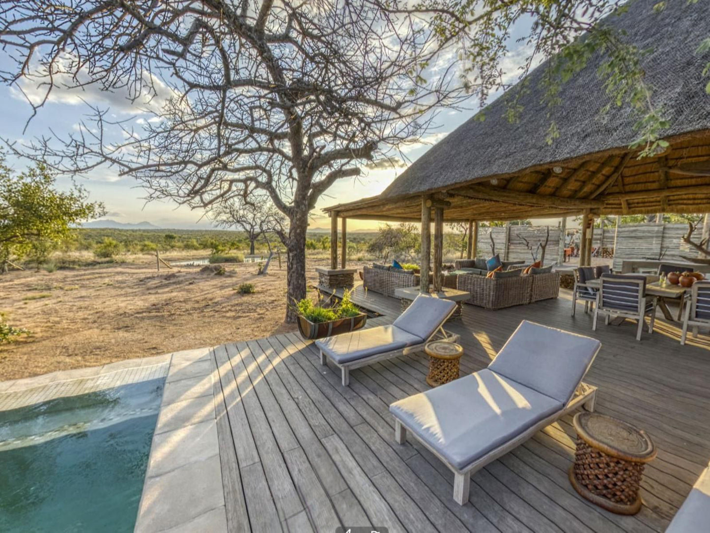 Imagine Africa Luxury Tented Camp Balule Nature Reserve Mpumalanga South Africa 