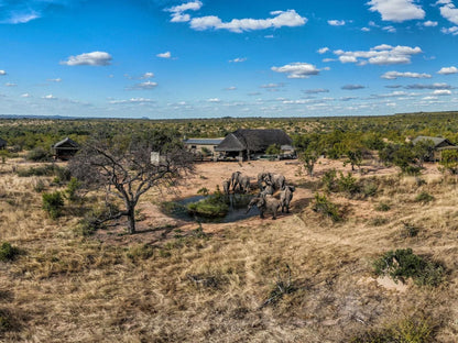 Imagine Africa Luxury Tented Camp Balule Nature Reserve Mpumalanga South Africa Complementary Colors, Lowland, Nature