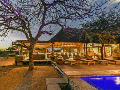 Imagine Africa Luxury Tented Camp Balule Nature Reserve Mpumalanga South Africa Swimming Pool