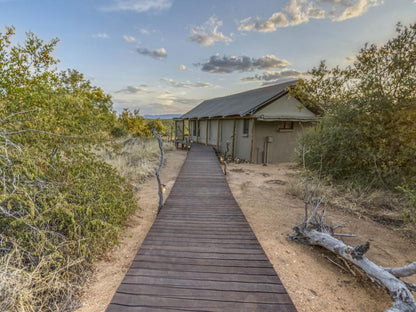 Luxury African-Style Safari Tent 1 @ Imagine Africa Luxury Tented Camp