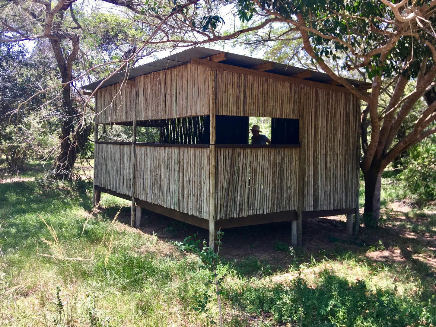 Imani Bush House And Silver Sky Chalet Hluhluwe Kwazulu Natal South Africa Cabin, Building, Architecture