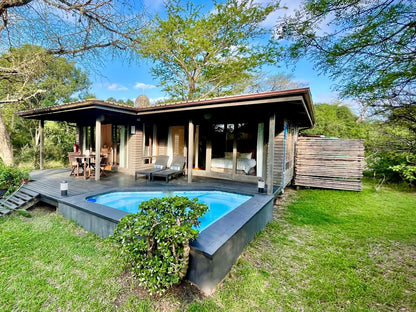 Imani Bush House And Silver Sky Chalet Hluhluwe Kwazulu Natal South Africa Complementary Colors, House, Building, Architecture, Swimming Pool