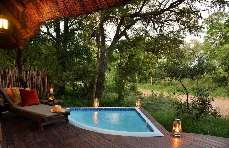 Imbali Safari Lodge South Kruger Park Mpumalanga South Africa Swimming Pool